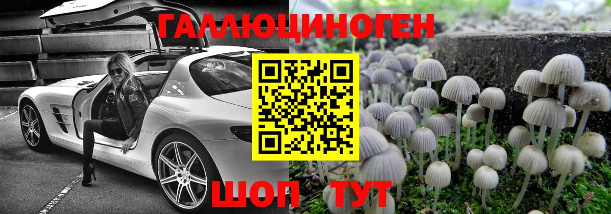 Октябрьский  Галлюциногенные грибы Psilocybine cubensis  Вход с VPN 