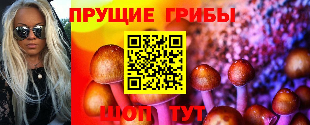 Галлюциногенные грибы Psilocybine cubensis Октябрьский